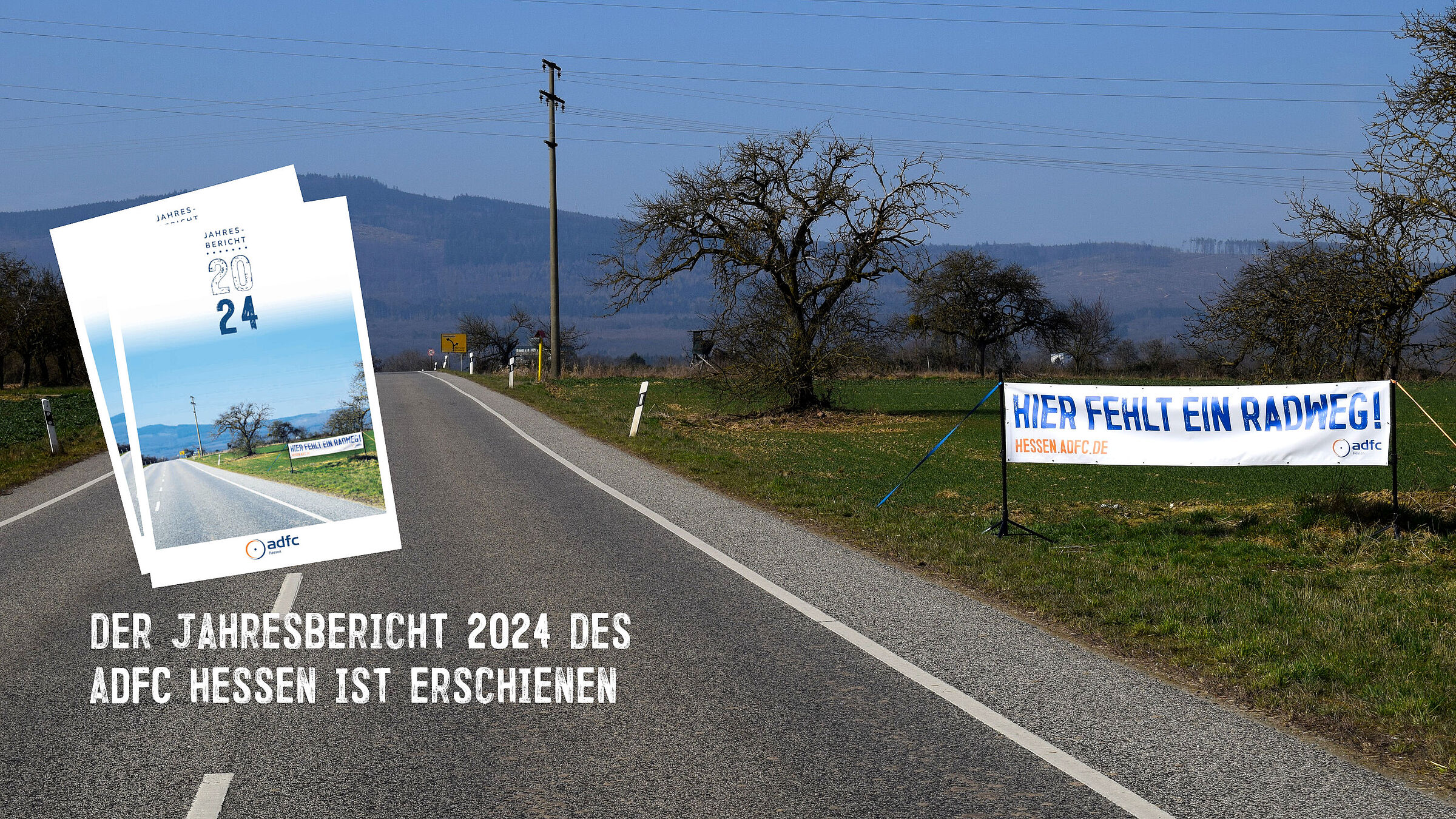 Jahresbericht 2024